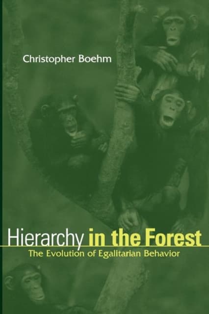 Hierarchy in the Forest