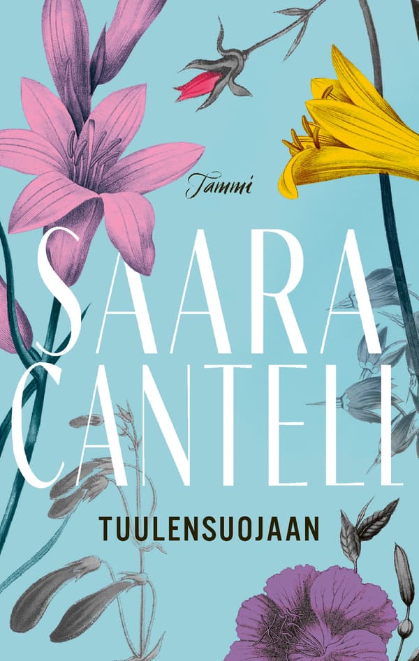 Tuulensuojaan