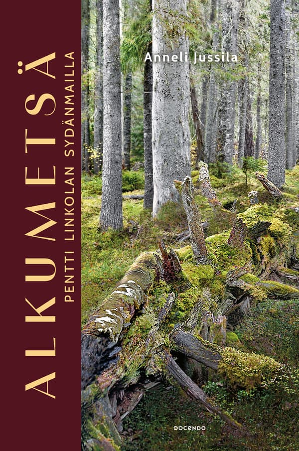 Alkumetsä