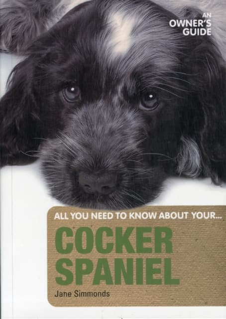 Cocker Spaniel