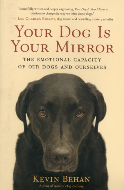 Your Dog Is Your Mirror