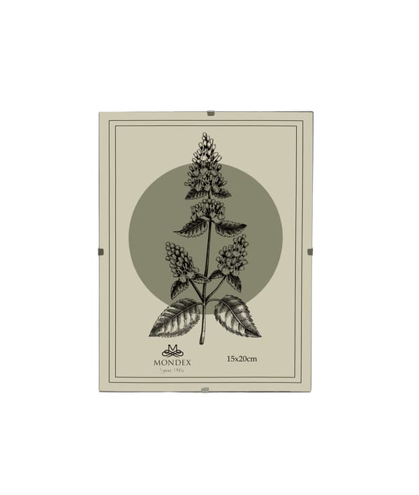 Glasram ADI 15x20 transparent 1pc