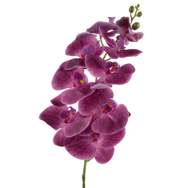 Tekokukka Viridis Orchidea 90cm valkoinen 1kpl
