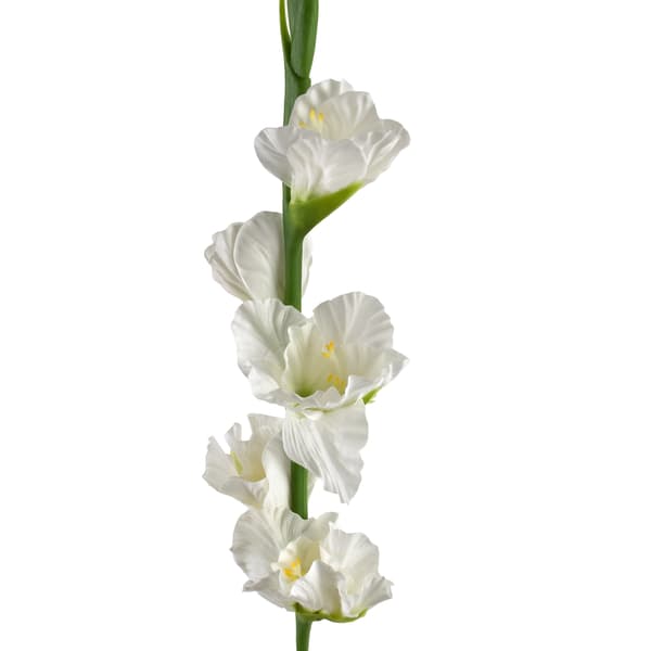 Kunstig Blomst Viridis Gladiolus 85 cm Hvid 1 Stk