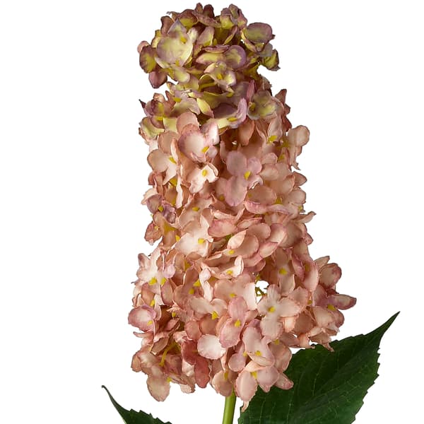 Kunstig Hortensia Viridis Lang 80cm 1pc