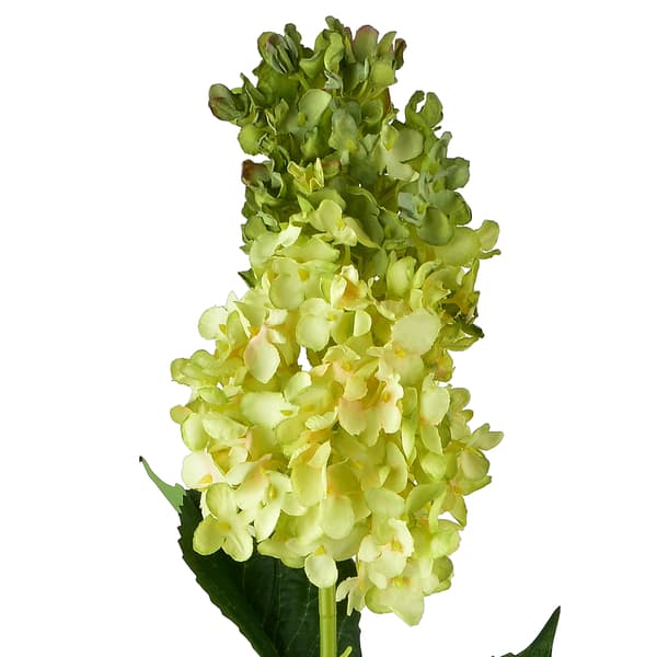 Tekokukka Mondex Viridis 80cm vihreä 1kpl
