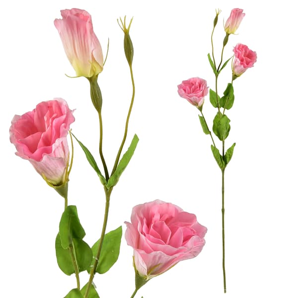 Tekokukka Viridis Eustoma 70cm monivärinen 1kpl