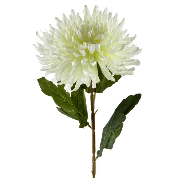 Kunstig Chrysantemum Viridis 75 cm hvid 1pc