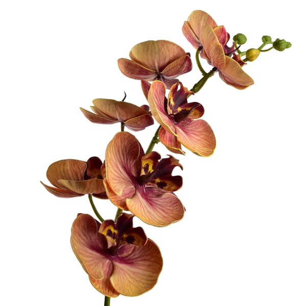 kunstig orkidégren Viridis Storczyk 85cm 1 stk
