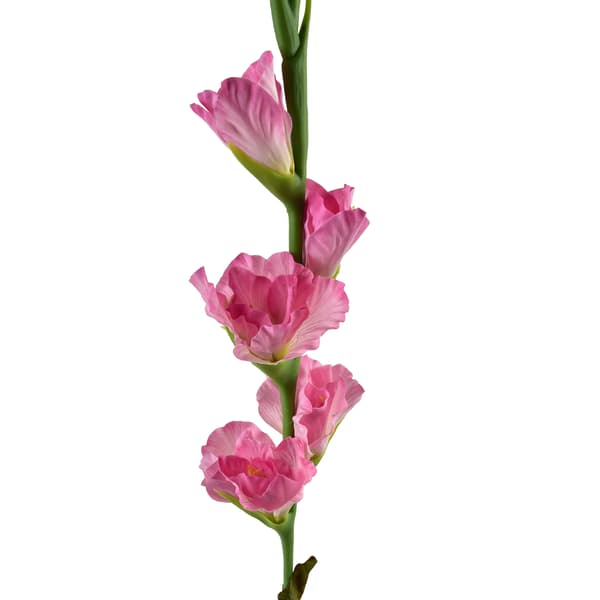 Gummibelagt Kunstig Blomst Viridis Mieczyk 85cm Lyserød 1pc