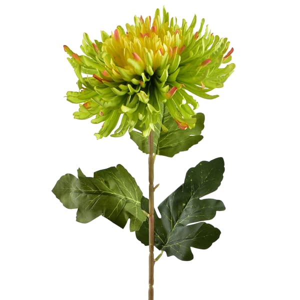 Kunstig Blomst Viridis Chrysantema 75cm Grøn 1pc