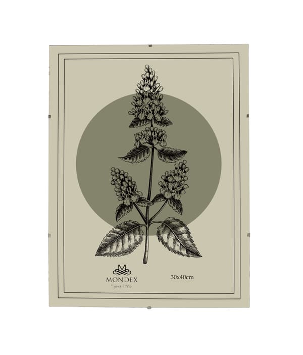 Plexiantiram ADI Ramka 30x40 transparent 1pc