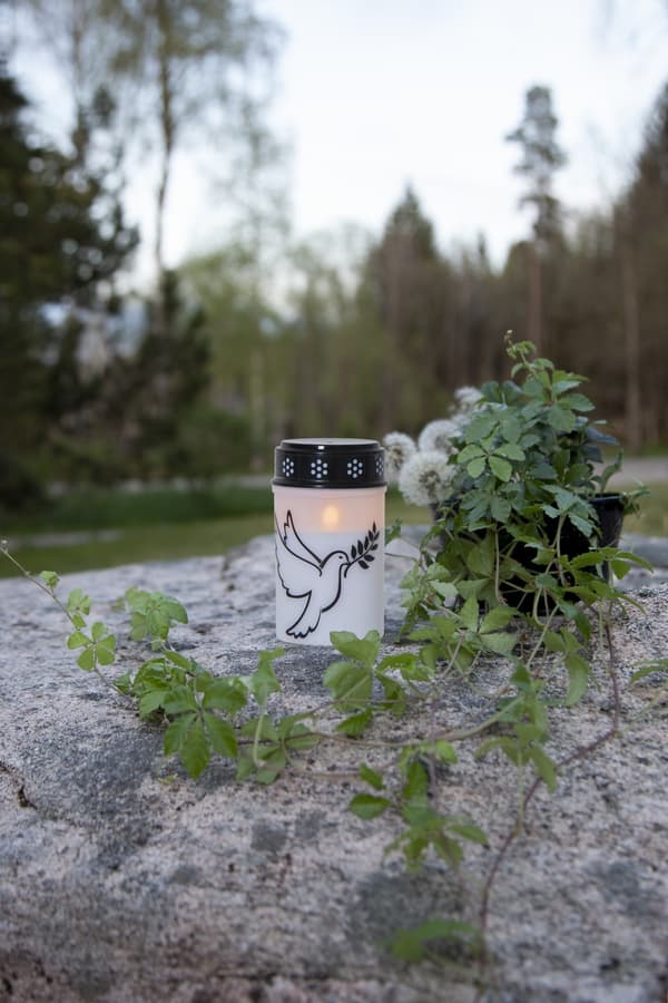 Gravljus Dove LED