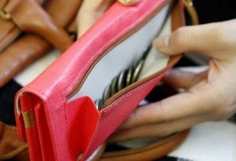 Lucid Plenty Wallet Plånboksfodral - Korall