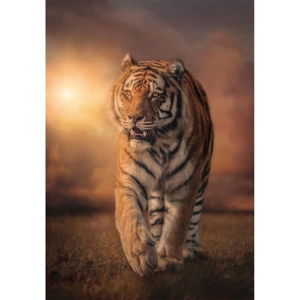 CLEMENTONI Pussel 1000 Pcs CB High Quality Collection Tiger