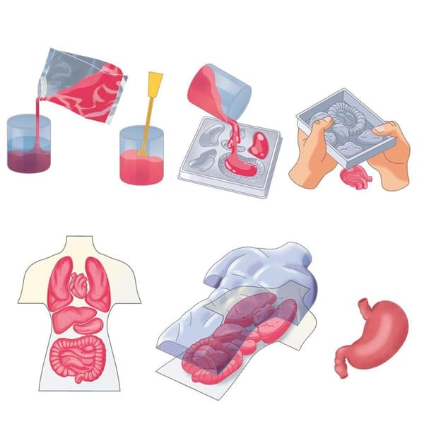 CLEMENTONI Mini Squishy Organs