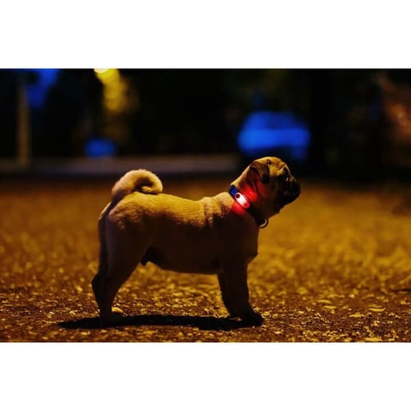 TICKLESS Flåtbeskytter Mini Hund