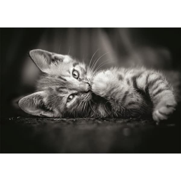 CLEMENTONI Pussel 1000 Pcs CB High Quality Collection Kitty
