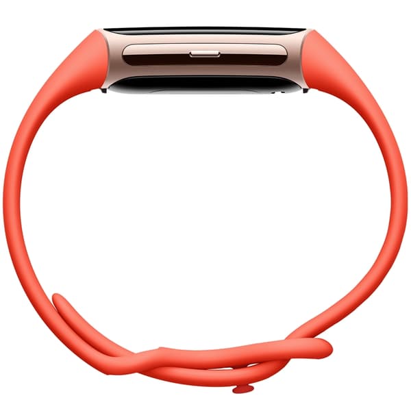 FITBIT Charge 6 Champagne Gold Aluminum Case