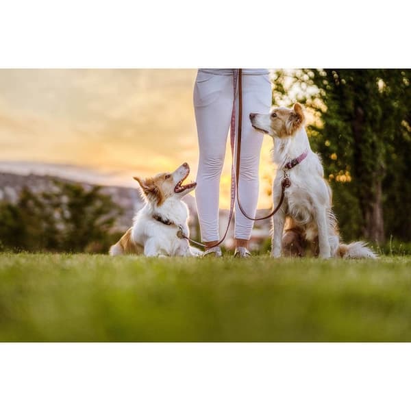 TICKLESS Fästingskydd ECOPET