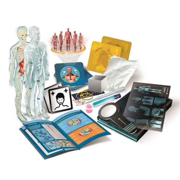 CLEMENTONI Super Anatomy (Nordic)