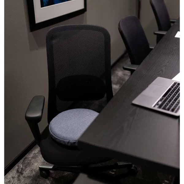 SWEPOSTURE Ergonomisk Balanskudde PRO