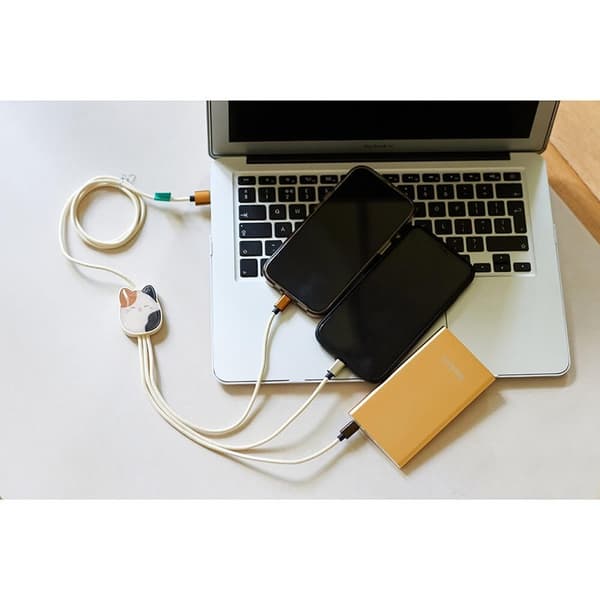 SQUISH Ladekabel 1,2m Cam 3i1 USB-C/Micro/Lightning