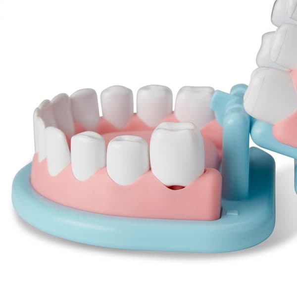 MND Leikkisetti Super Smile Dentist Play Set