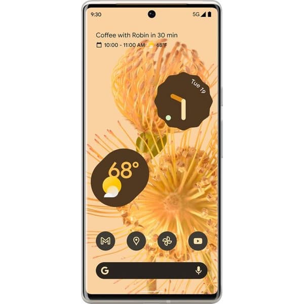 Mobilskal till Google Pixel 6 Pro med Leopard Bow