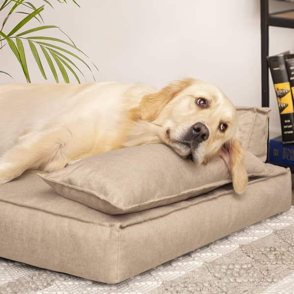 Hundbädd med avtagbart överdrag grå, 132 x 106 cm – E-Doggy