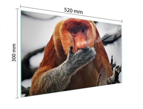 GLAS SKÆREBRÆT 52x30 NOSACZ
