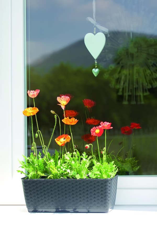 Rektangulär blomlåda med fat DRL300P | Umbra