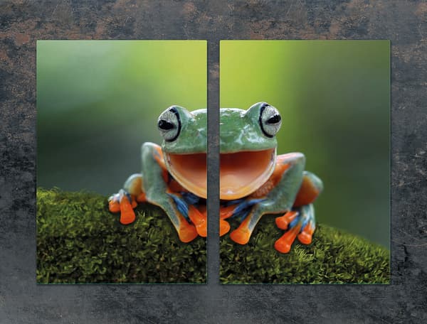 GLASPLADE TIL KØKKEN 2x35x52 FROG