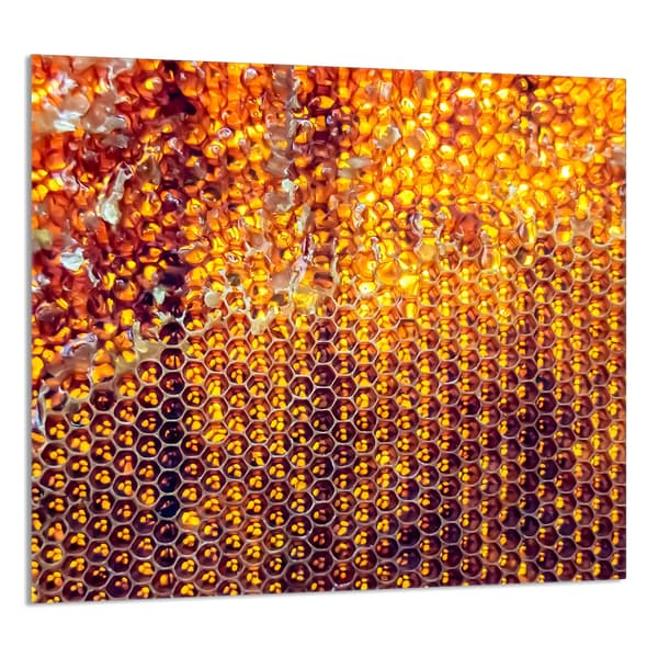 KEITTIÖN LASIPANEELI 65x60 Honey