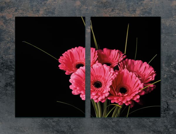 GLASBESKYTTELSESPLADE TIL KØKKEN 2x35x52 GERBERA