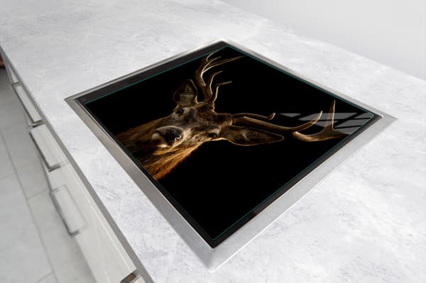 GLASSKYDDSPLÅT FÖR SPIS 50x52 DEER