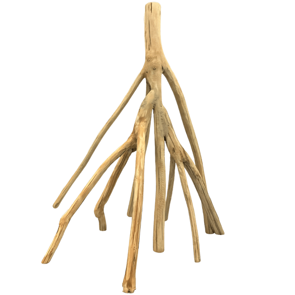 Mangrove Rod M