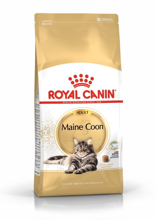 Foder Royal Canin FBN Maine Coon 10 kg