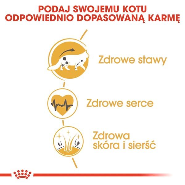 Foder Royal Canin FBN Maine Coon 10 kg