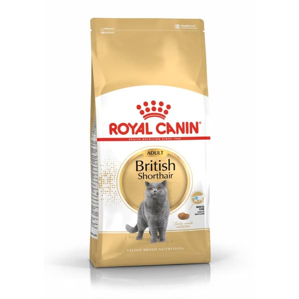 FBN Britisk Korthår 10 kg