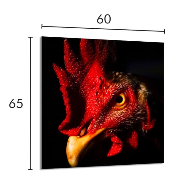 GLASPANEL FÖR KÖK 60x65 Rooster