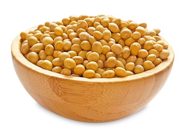 Sojabönsfrön (1 kg) - MIGOgroup