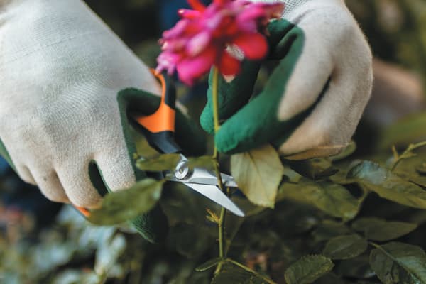 FISKARS SOLID trädgårdssax för klippning, beskärning och blomning av växter