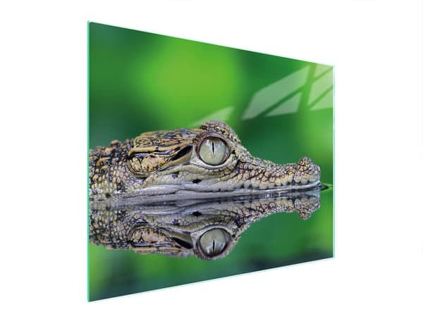 GLASSKÆREBRÆT 52x40 KROKODIL