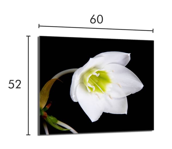 Skyddsplatta i glas för kaminen 60x52 Orchidea