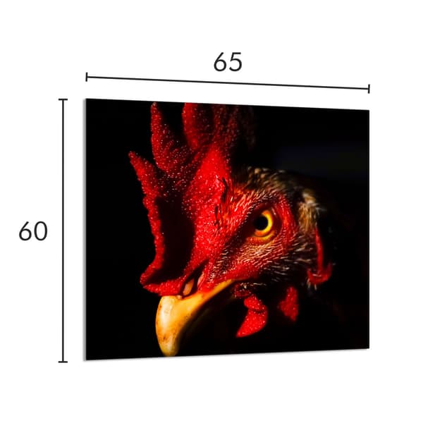KEITTIÖN LASIPANEELI 65x60 Rooster