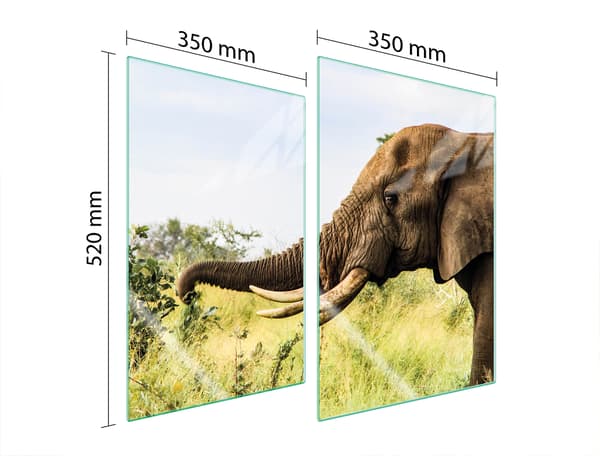 GLASSKYDDSPLÅT FÖR KÖK 2x35x52 ELEFANT