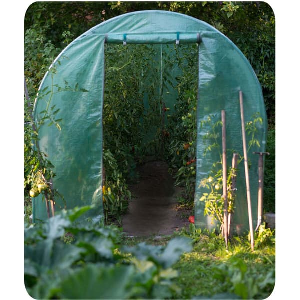 Havetunnel 2,5 x 4 m (10 m2) Plonos