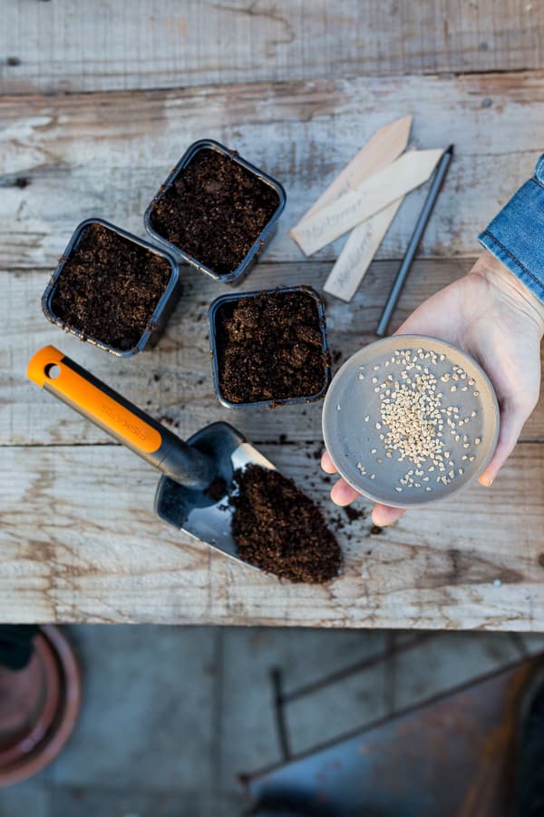 FISKARS PREMIUM Liten trädgårdsspade för plantering, omplantering av växter och jord