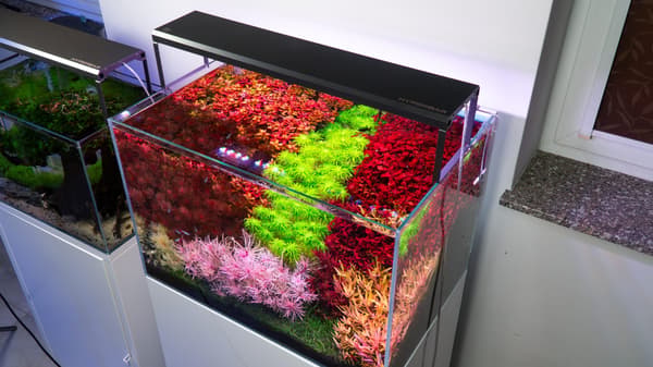 Skylight Hyperbar Fresh FM 45H LED-belysning med fast beslag